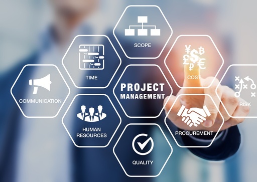 Project Manager - Módulo Proyectos